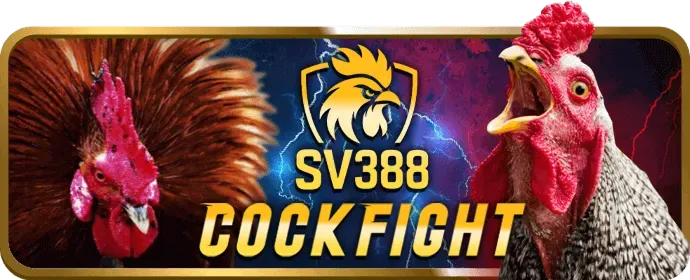 Công nghệ bảo vệ dữ liệu 997bet